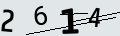 verifycode